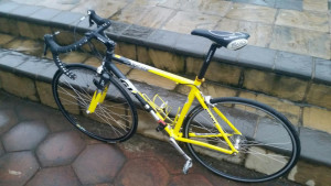 giant TCR-2 2006 