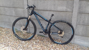 Silverback Sola 4 2014 