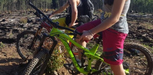 Norco Sight 2015 