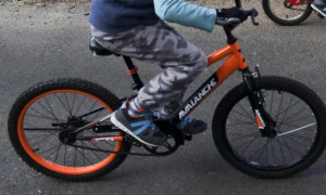 Avalanche 20" 2013 