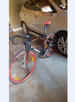 Giant SCR1 2013 