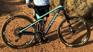 Canyon Strive 2019 