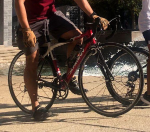 Schwinn Schwinn 2015 