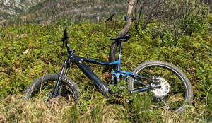 Giant Trance E + 2 Pro 27.5 x 20M(L) 2020 