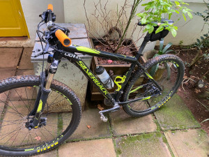 Silverback Spectra 29 Comp 2018 