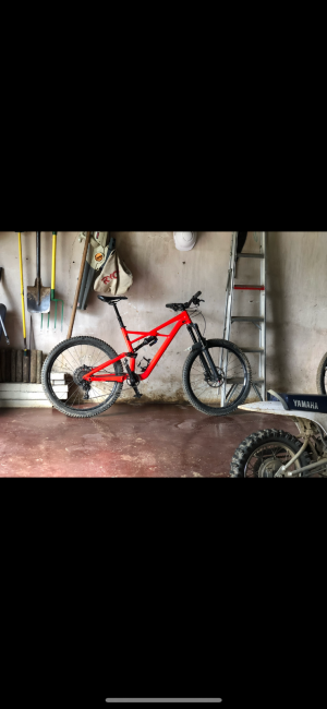 Specialized Enduro 2019 