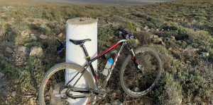 Scott Scale 910 2014 