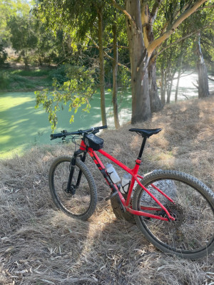 Trek X Caliber 8 2021 