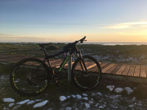 Silverback Spectra 2018 