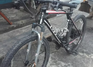 GT Avalanche 2013 