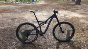 Specialized Stumpjumper Evo Expert carbon 2015 