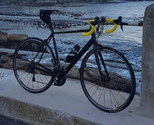 Canyon Endurance AL 
