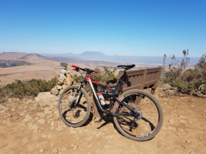 Momsen VIPA XT 2015 