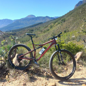 Specialized Epic 2019 