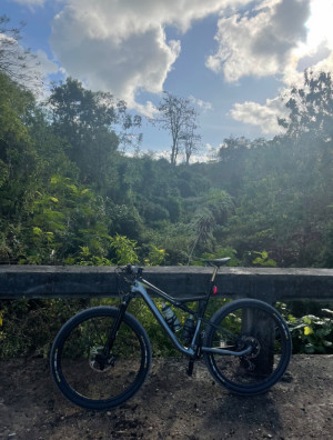 Cannondale Scalpel Si Carbon 2 2020 