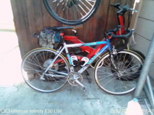 Orbea Sport 2010 