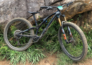 Specialized StumpJumper 2019 