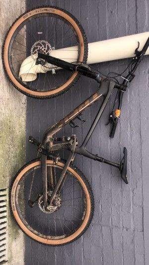TREK 2022 2022 