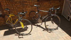 Giant TCR ONCE 