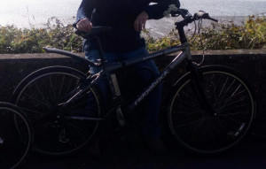 Ridgeback Cyclone 2006 