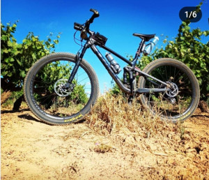 Trek Top Fuel 2020 
