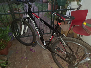 Raleigh Nomad 90 