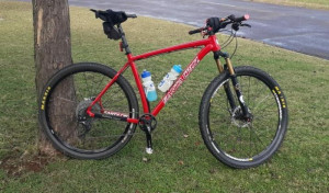 Santa Cruz Highball 2014 