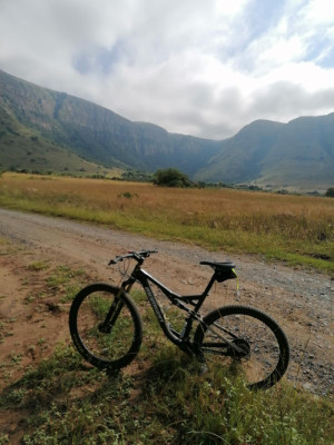 Momsen Vipa 2016 