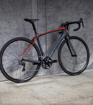 Trek Emonda SL6 Pro 2019 