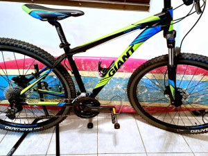 Giant Revel 1 2017 