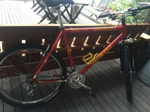 Stolen: Specialized S-Works M2 Team Edition 1992 | Bike Hub