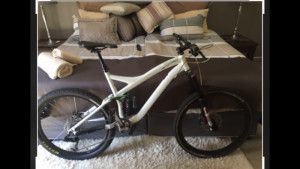 Specialized Enduro 2010 