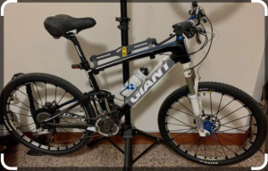 Giant Anthem sl advanced 2010 