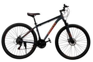 Raleigh Raleigh 