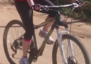 Schwinn Pilot 2 2017 