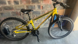 Avalanche Cosmic 24 