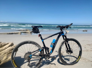 Giant Anthem Advanced 2016 