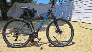 Avalanche Reflex 2020 