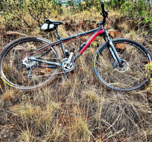 Silverback Sola 1 2014 