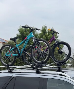 silverback Skid 2024 