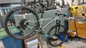 Silverback Stride SX 2022 