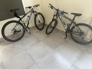 Scott Scale & Aspect 2017 