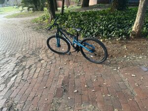 Raleigh RAPTOR29-24 2023 
