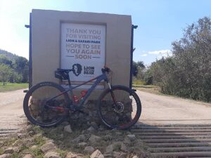 Silverback Stride SX 2020 