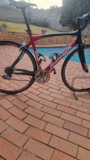 Raleigh Team Carbon 2005 