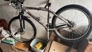 Scott Racer 2013 