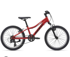 Giant 20 inch Jnr 2021 