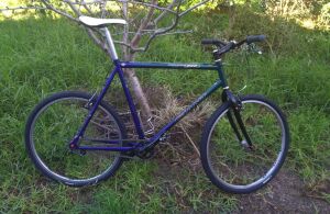 Giant Iguana 650 1996 