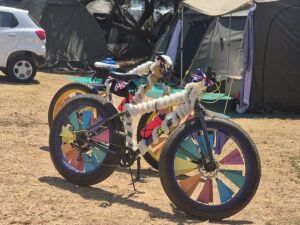 Fatcat 26 inch 