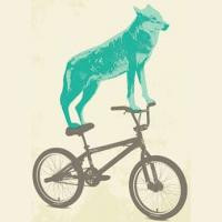 wolf1969 profile image